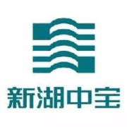 Xinhu Zhongbao Co Ltd A