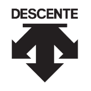 Descente Ltd