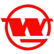 Wuhan Iron & Steel Co Ltd A
