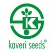 Kaveri Seed