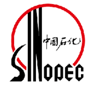 Sinopec Engineering Group H