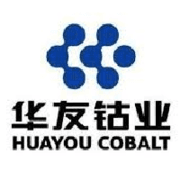 Zhejiang Huayou Cobalt  