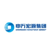 Shenwan Hongyuan Group  