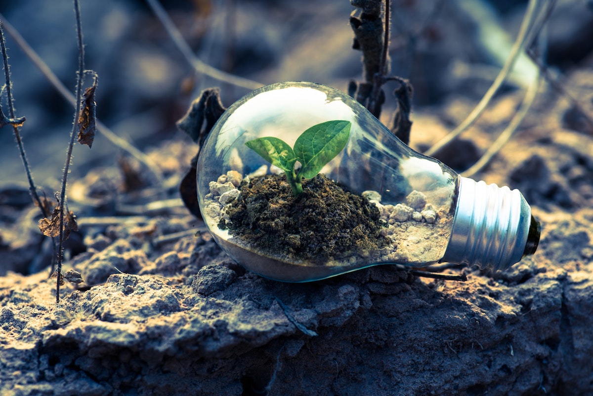 As Global Business Gets Serious about Sustainability, Research Is Ready for Its ESG Moment